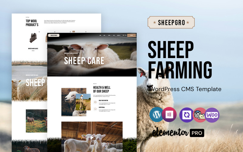 Sheepgro - Sheep Farming And Clothes WordPress Elementor Theme WordPress Theme