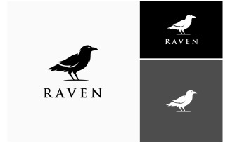 Raven Crow Bird Silhouette Logo