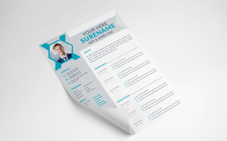 Director resume template design