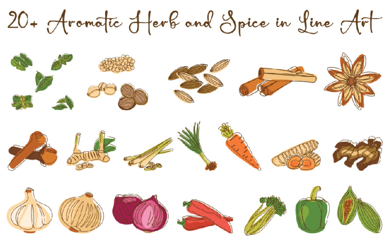 20+ Aromatic Herb and Spice in Line Art Illustration