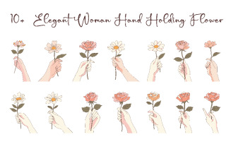 10+ Woman Hand Holding Flower Floral