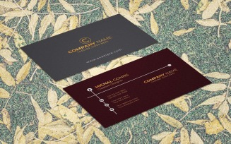 Professional Creative Business Card