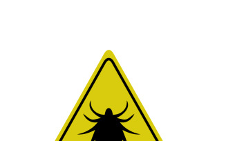 Ticks. Tick warning sign. Attention ticks. Mite.