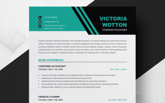 Modern Executive Minimalist Resume