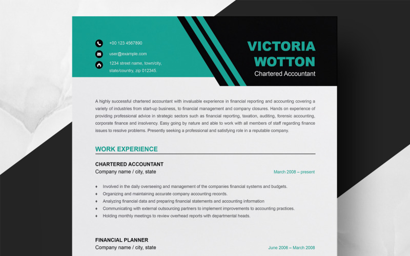 Modern Executive Minimalist Resume Resume Template