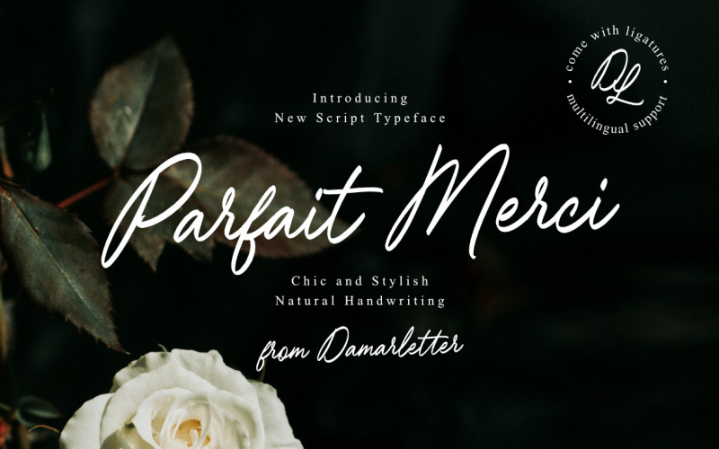 Parfait Merci handwriting script Font