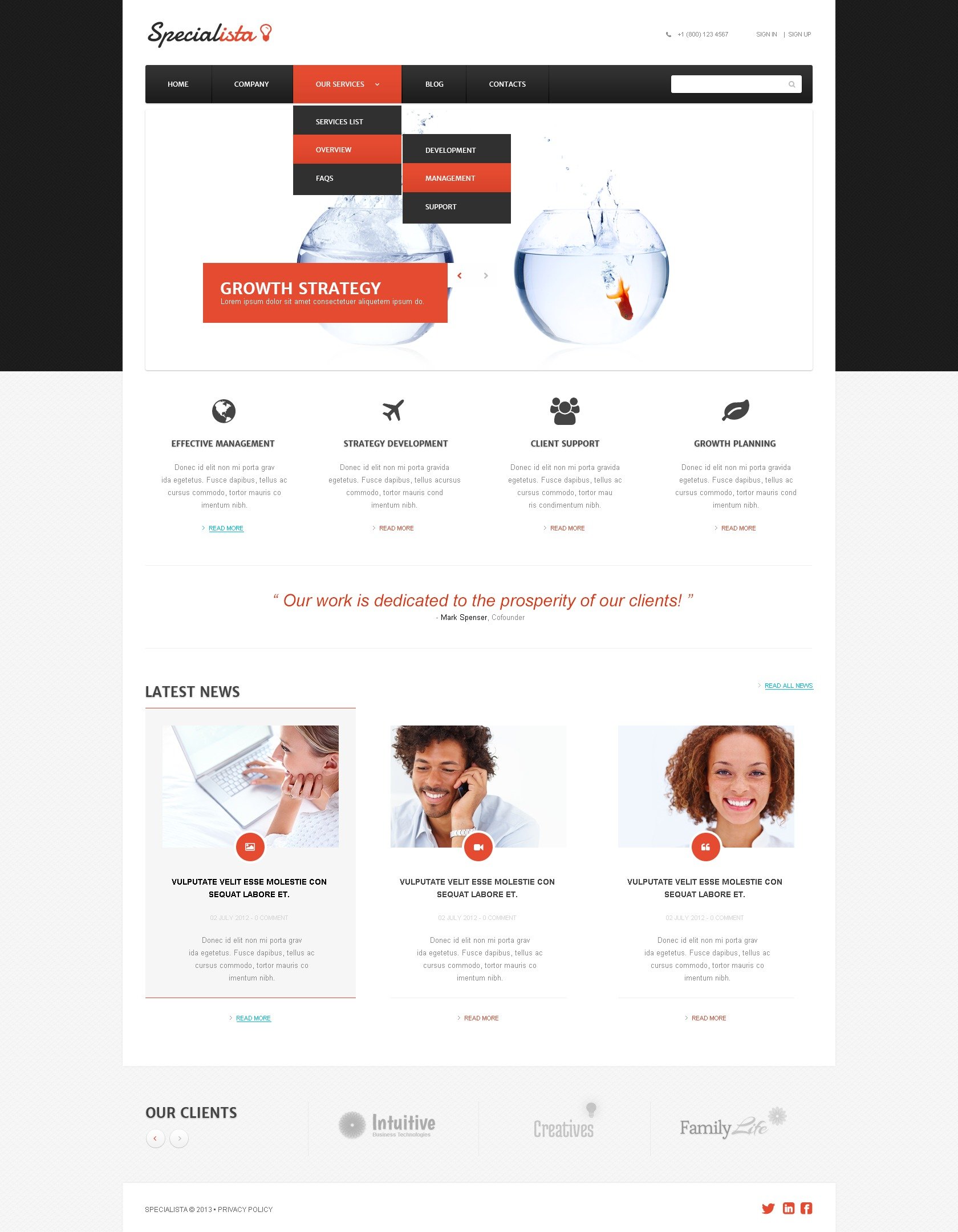 Reszponzív Effective Management Online WordPress sablon 44284 - képernyőkép