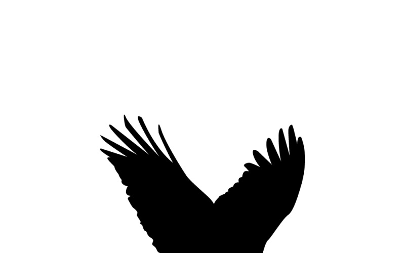 Eagle silhouette in black. Flying Aquila chrysaetos Vector Graphic