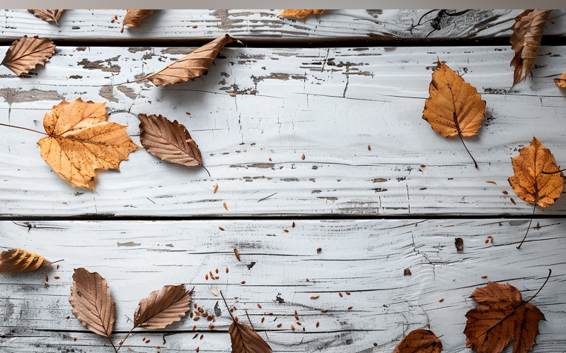 Festive autumn decor leaves White Rustic Wooden Table. 43 Illustration