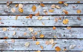 Festive autumn leaves White Rustic Wooden Table 89