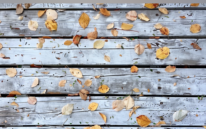 Festive autumn leaves White Rustic Wooden Table 89 Illustration