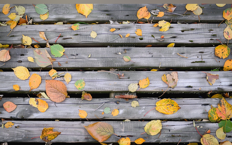 Festive autumn Rustic Wooden Table leaves. 68 Illustration