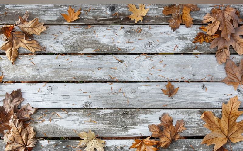 Festive autumn Rustic Wooden Table leaves 93 Illustration