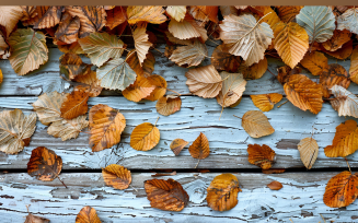 Festive autumn Rustic Wooden Table leaves flowers 83