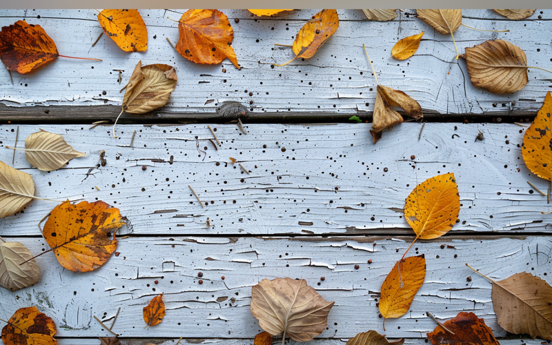 Festive autumn White Rustic Wooden Table leaves . 57 Illustration