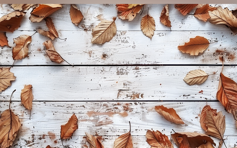 Festive autumn Wooden Table leaves 100 Illustration