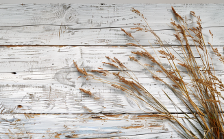 Festive autumn Flowers Branches White Rustic Wooden Table 171