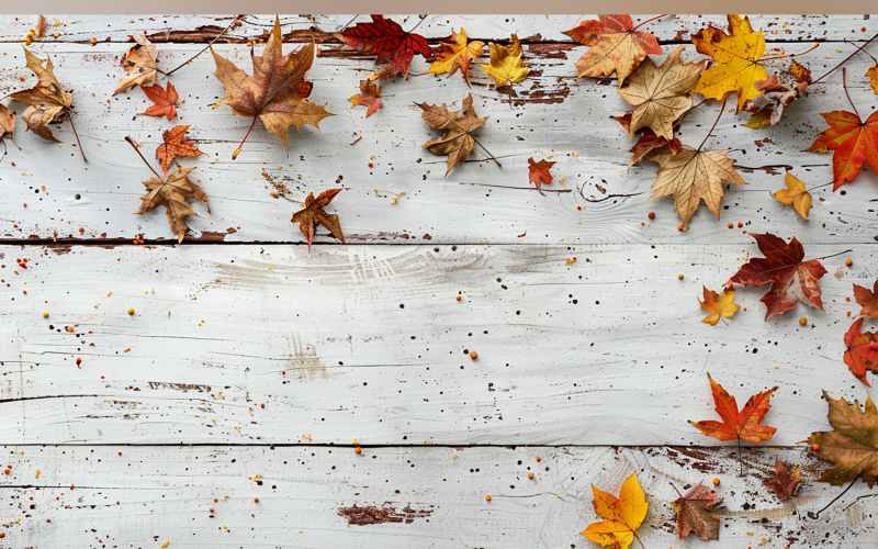 Festive autumn Red leaves Branches On Rustic Wooden Table 167 Illustration