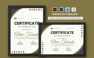 Certificate of Appreciation Template V20