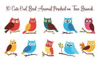 10 Cute Colorful Owl Bird Animal