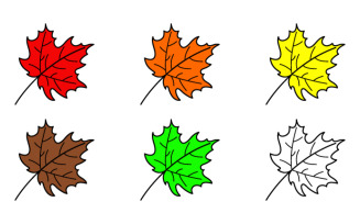 Set of vector color maple leaves, isolated on the white background