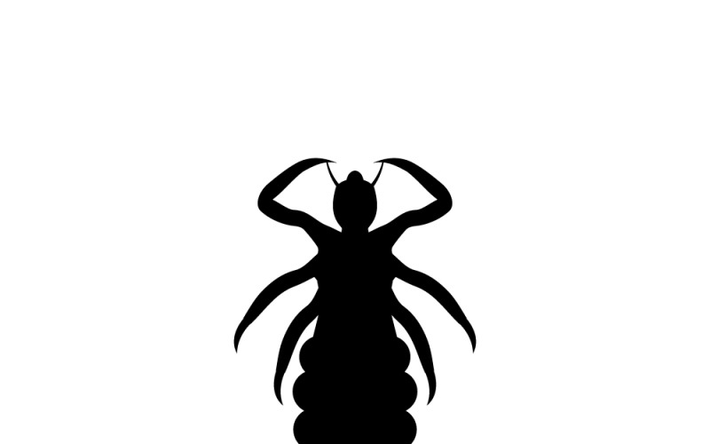 Silhouette Head Human Louse Pediculus Humanus Vector Graphic