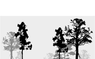 Forest silhouette trees. Vector illustration.