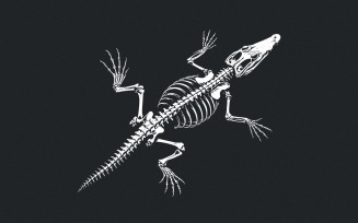 Crocodile Skeleton PNG, Alligator Bones png, Reptile png, Gator png, Crocodile Clipart, Crocodile,