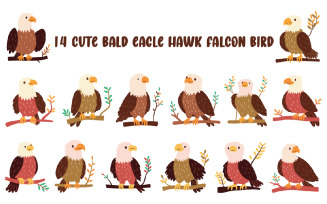 14 Cute Bald Eagle Hawk Falcon Bird