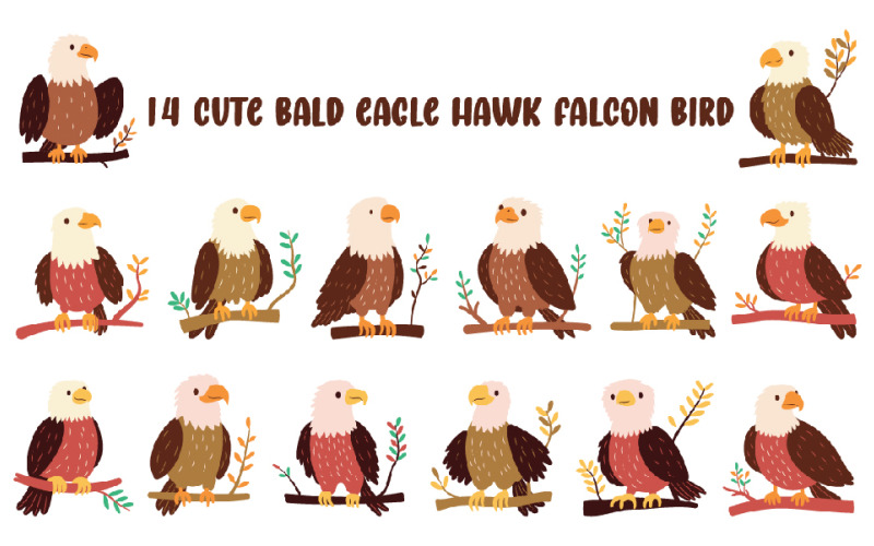 14 Cute Bald Eagle Hawk Falcon Bird Illustration