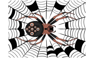 A vector illustration of a spider