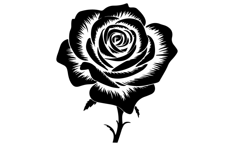 Rose silhouette art illustration Illustration