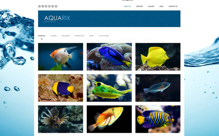 Fish Responsive WordPress Theme Big Screenshot Fish Responsive WordPress Theme New Screenshots BIG