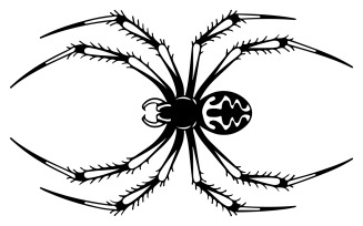 A spider silhouette illustration