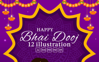 12 Bhai Dooj Indian Festival Illustration