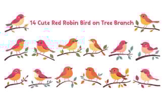 14 Cute Red Robin Bird on Tree Branch