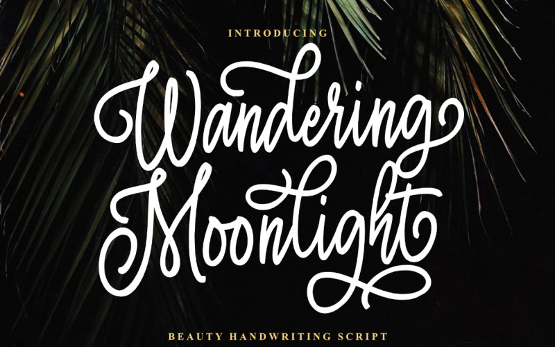 Wandering Moonlight beauty script Font