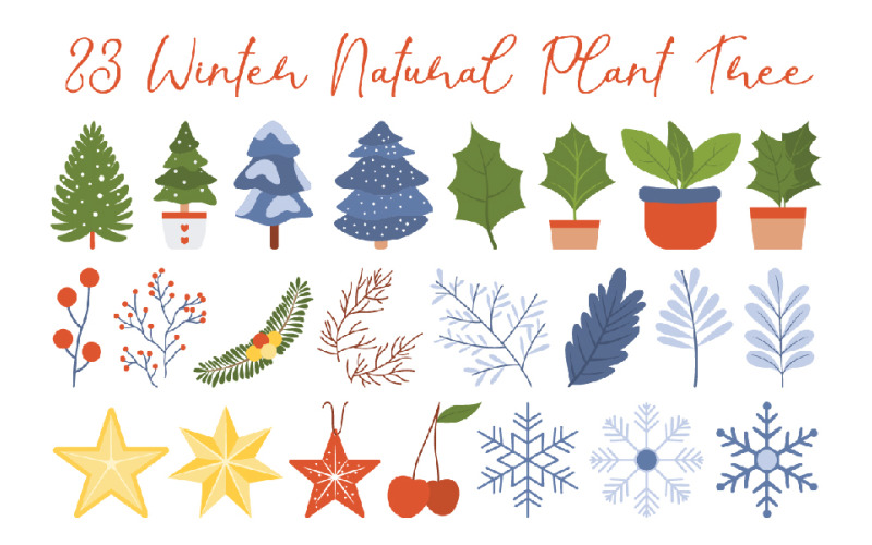23 Winter Natural Plant Tree Illustration
