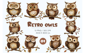 Cartoon retro owls 01. TShirt Sticker.