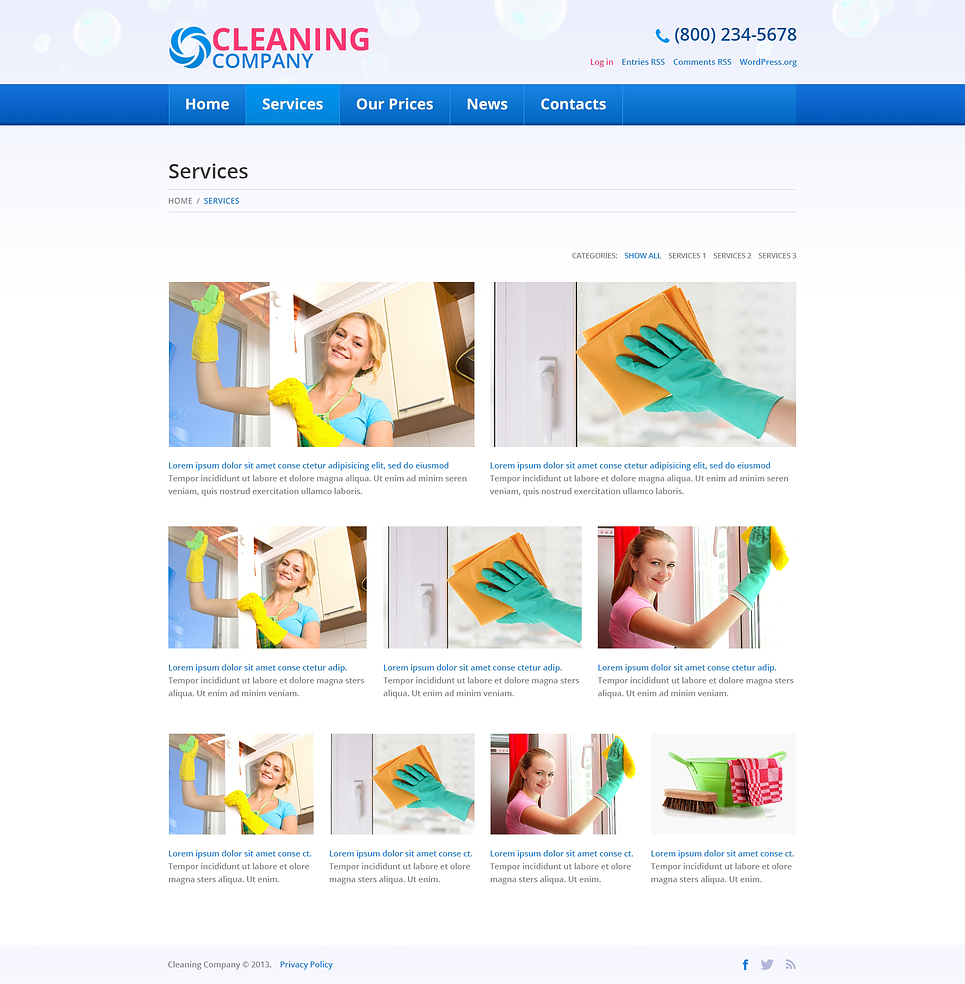 Cleaning Services WordPress Theme 45537 By WT WordPress Themes