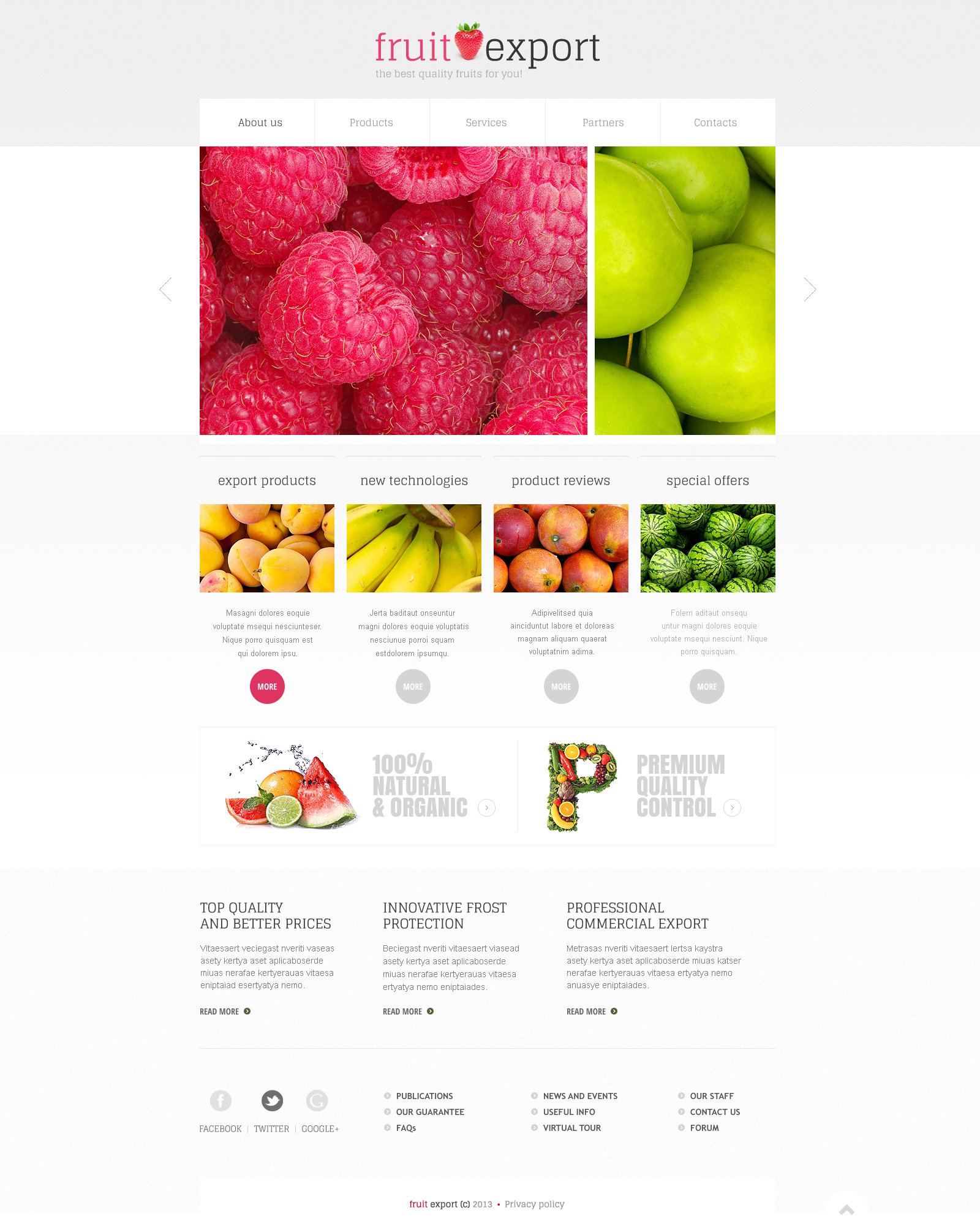 fruit responsive website template 45529