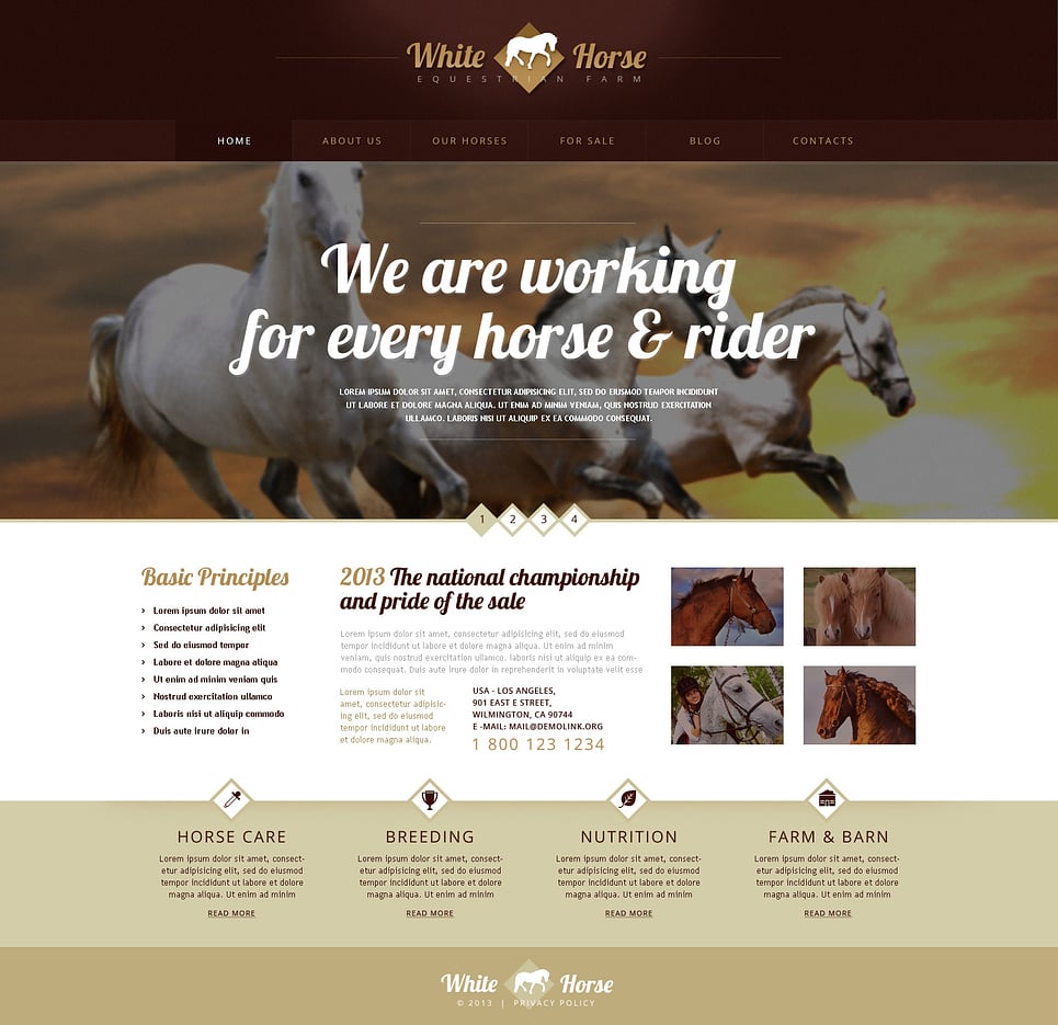 Gorgeous Horses WordPress Theme New Screenshots BIG