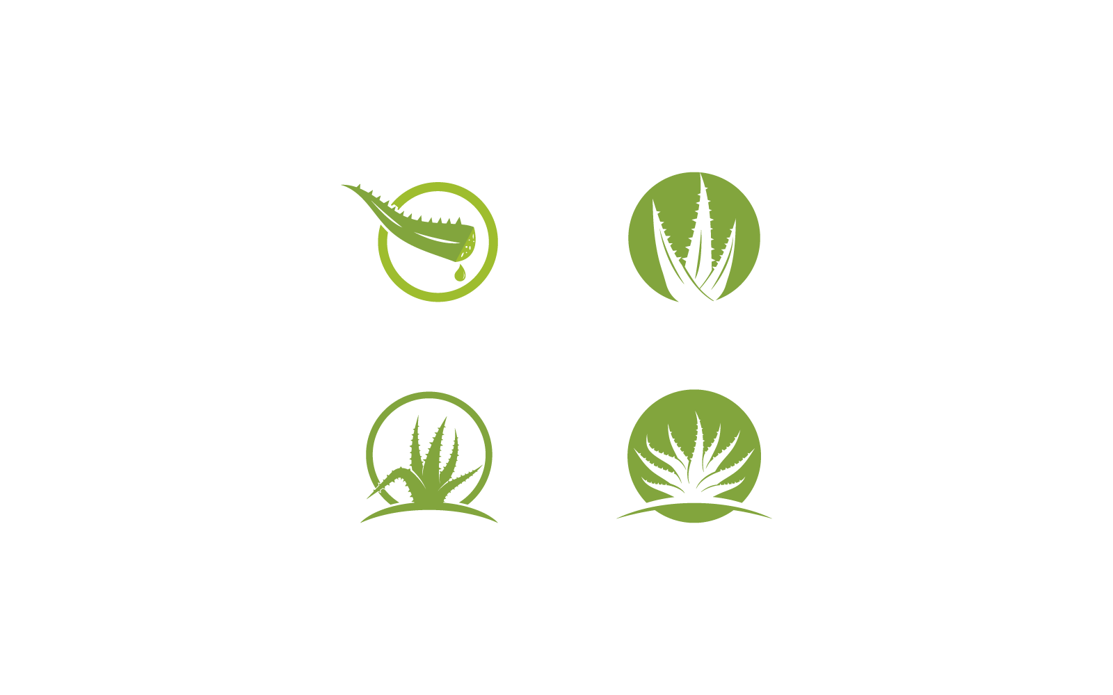 Aloe Vera Logo, Vektorillustration, Designvorlage