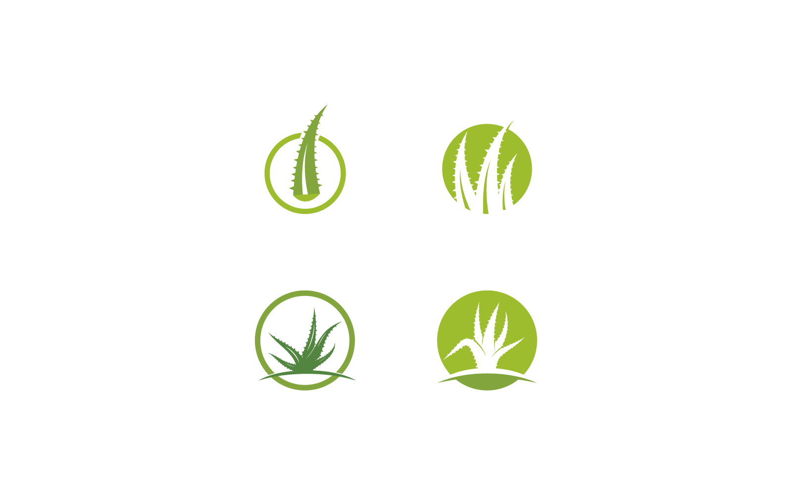 Plantilla de ilustración vectorial del logotipo de aloe vera