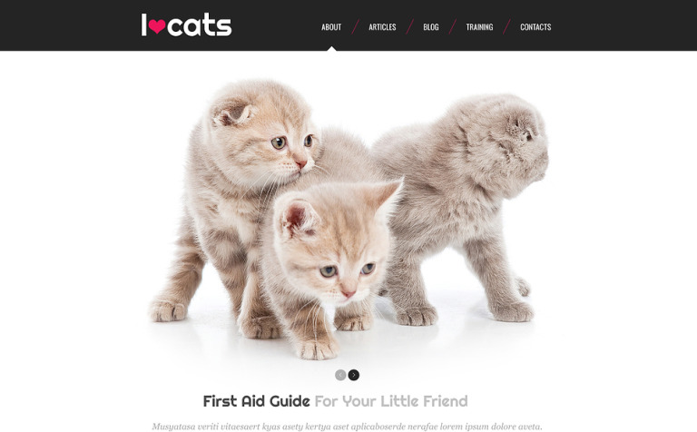 Cat Responsive Website Template Big Screenshot Cat Responsive Website Template New Screenshots BIG
