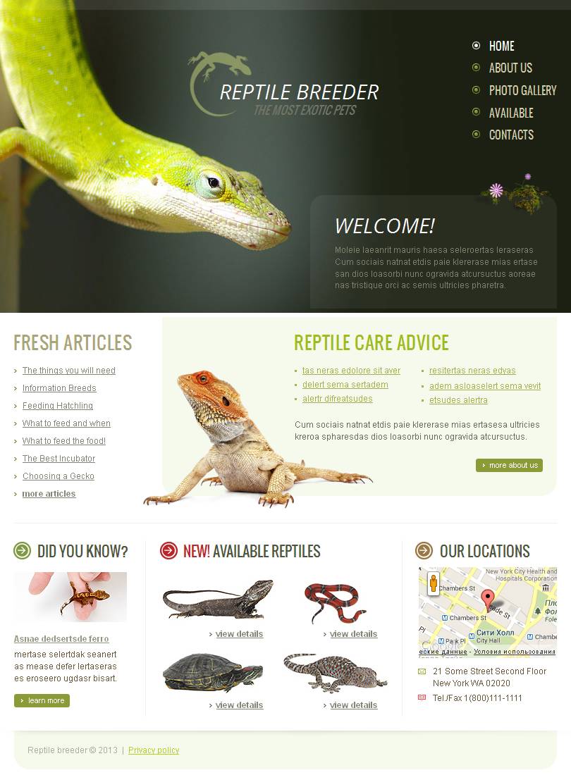 Reptile Templates | TemplateMonster