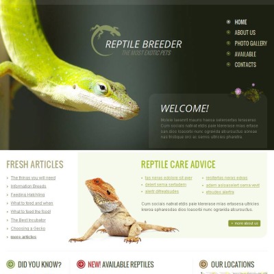 Reptile Breeder Website Template