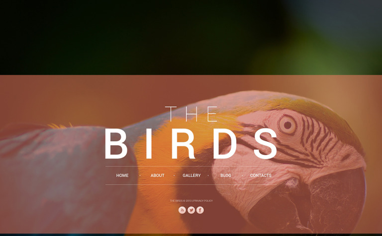 Birds Bootstrap Website Theme Big Screenshot Birds Website Template New Screenshots BIG