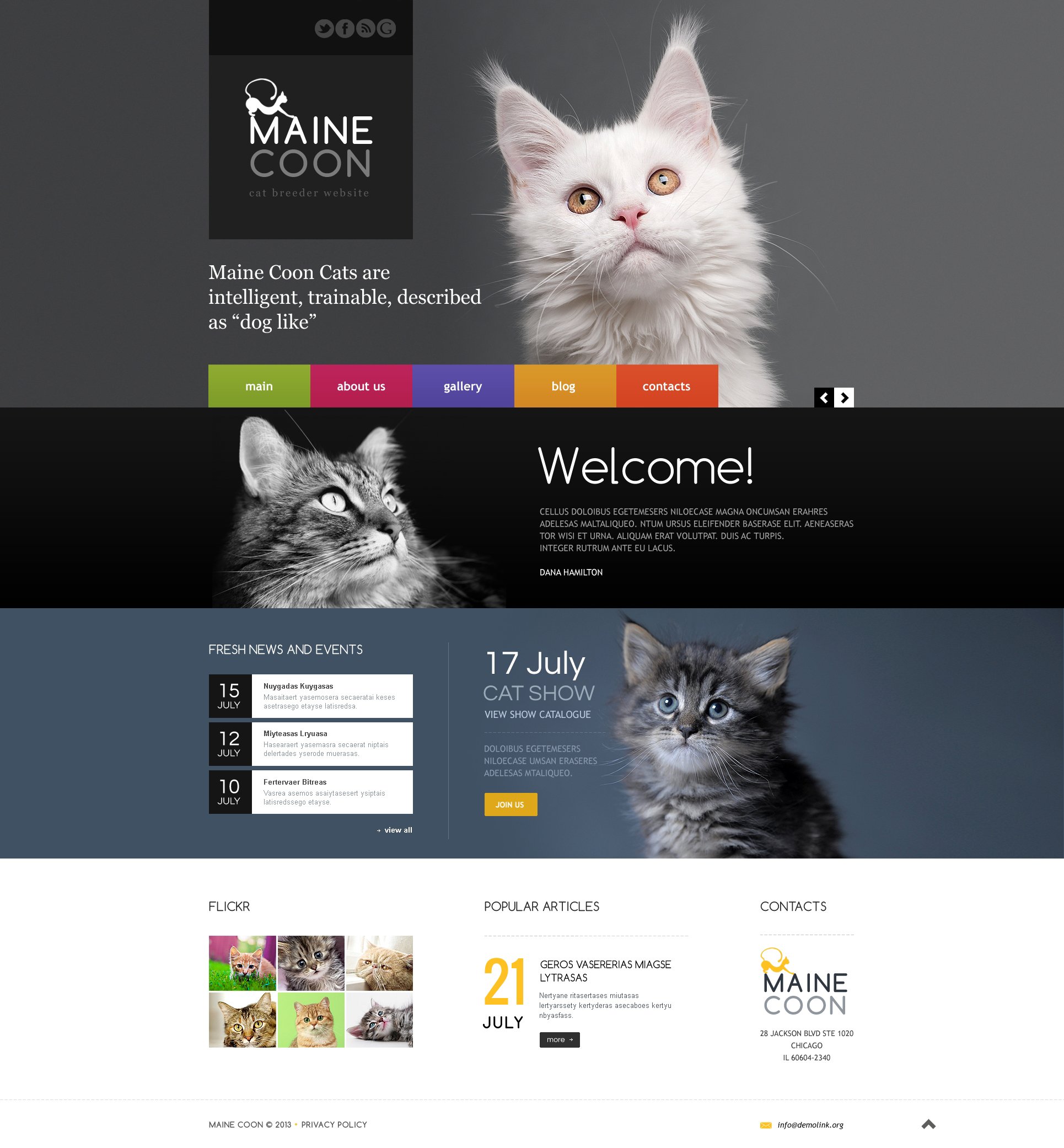 Cat Responsive Website Template #45870