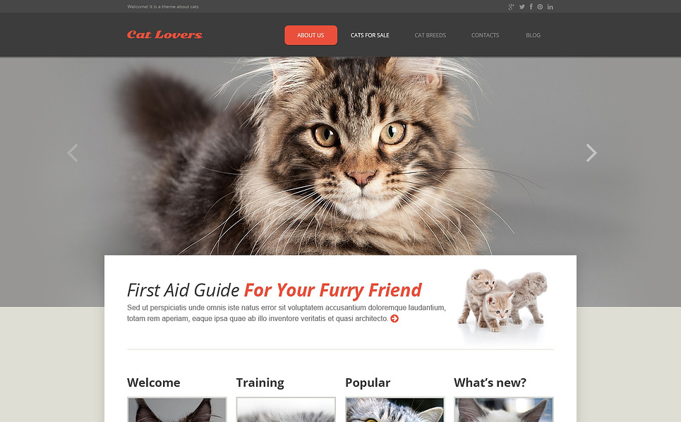 Cat Responsive Website Template #45894